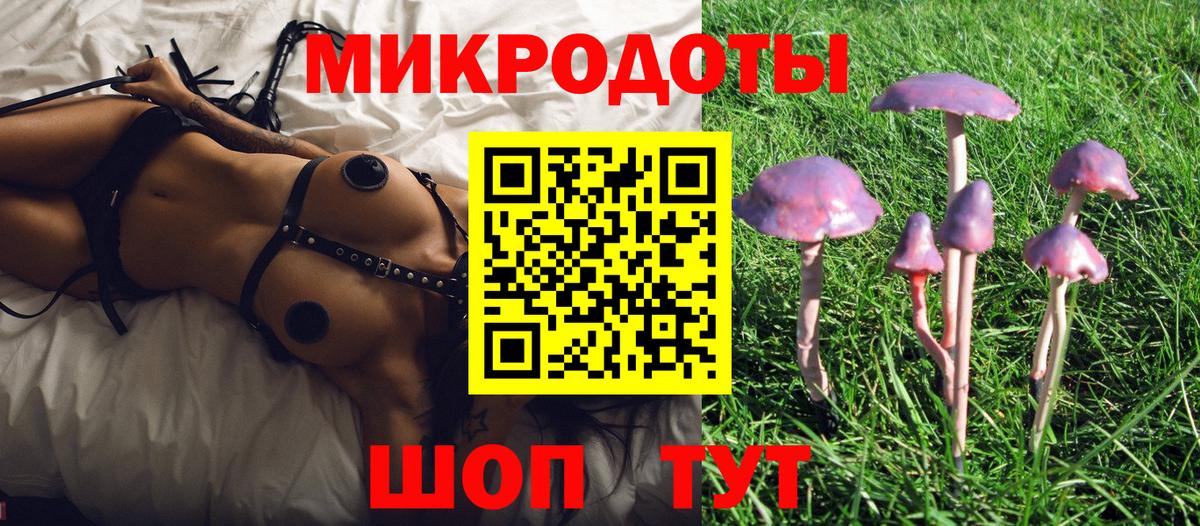 Псилоцибиновые грибы Psilocybine cubensis Чебоксары