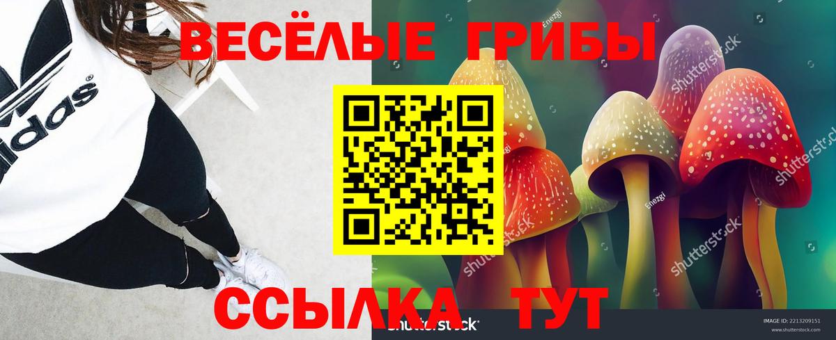Псилоцибиновые грибы Magic Shrooms  Вход с VPN  Псилоцибиновые грибы GOLDEN TEACHER  купить закладку  Чебоксары 